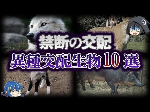 【ゆっくり解説】闇が深すぎる。禁断の異種交配生物10選