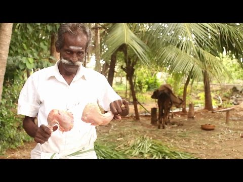 Chicken Leg Piece Fry in my Village / VILLAGE FOOD FACTORY / STREET FOODS