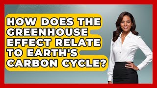 How Does The Greenhouse Effect Relate To Earth's Carbon Cycle? - Explaining Ecology