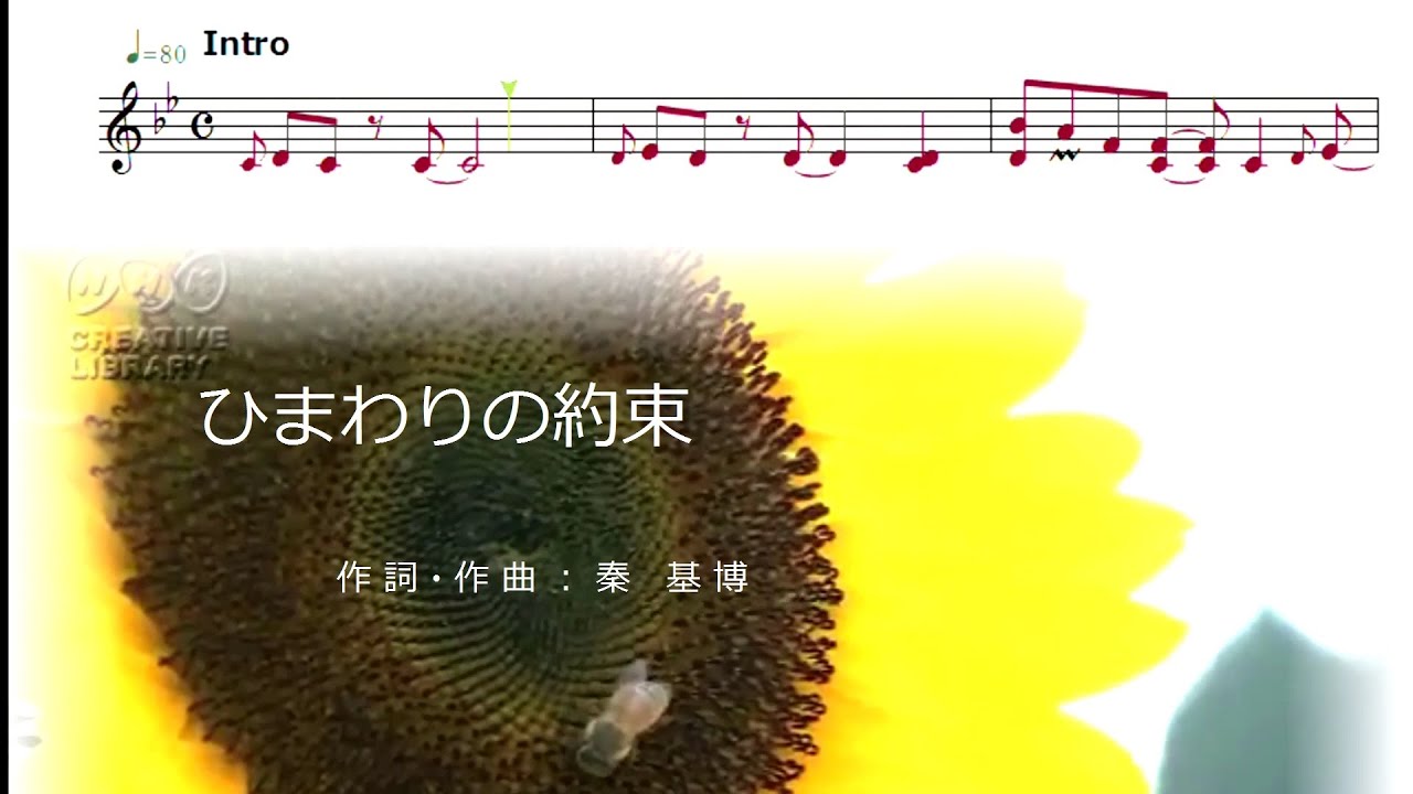 ひまわり の 約束 歌詞