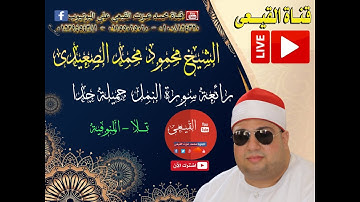 الشيخ محمود محمد الصعيدى رائعة الروائع سورة النمل - عزبة المداكرة -كفر ربيع - تلا #القيعى