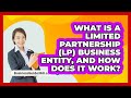 What Is A Limited Partnership (LP) Business Entity, And How Does It Work? - BusinessGuide360.com