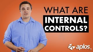 What are Internal Controls