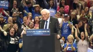 Why Do Birds Suddenly Appear