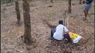 പ്രേമാ പതിയെപ്പോടാ... പെരുമ്പാമ്പിന് ഇത്ര സ്പീഡോ, പിന്നാലെ ഓടി നാട്ടുകാർ