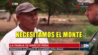 Deforestación en Salta - Programa ADN