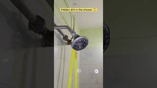 Deep Clean Your Shower Like This
