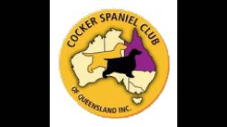 21st National Cocker Spaniel - Day 1