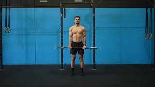 Bicep Curls - Ez Bar The Motus Pull-Up Program