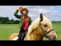 Красный Бор. Катание на лошадях. Krasny Bor. Horse riding.