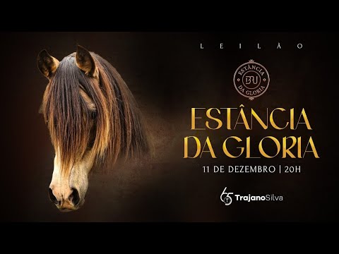 LOTE 15 - BUZZO DA MAYA