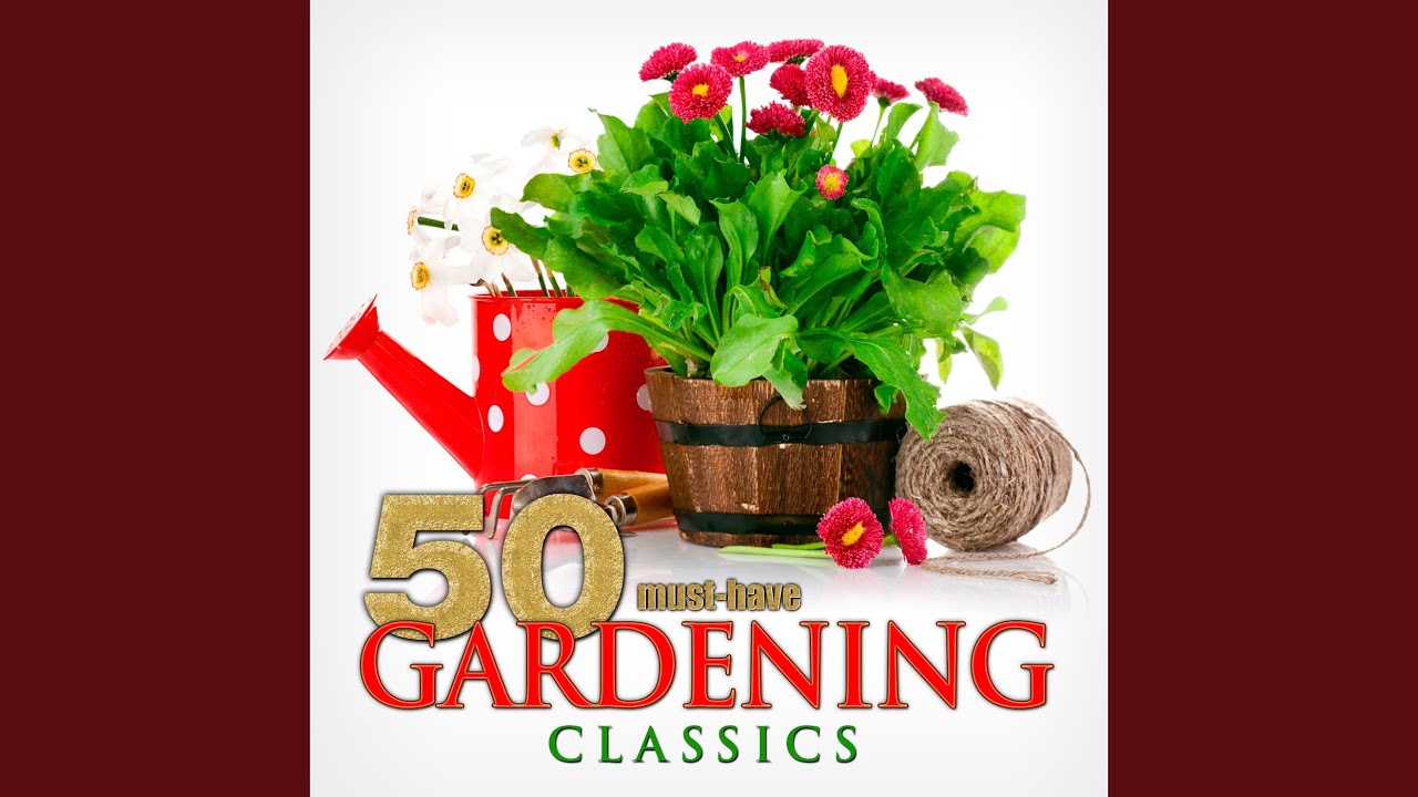 The Bird Seller: Introduction and Waltzes