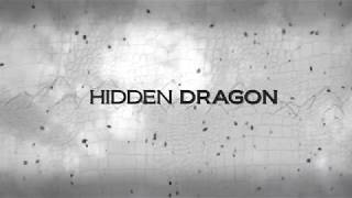 Hidden Dragon Intro Animation (After Effects + Particular)