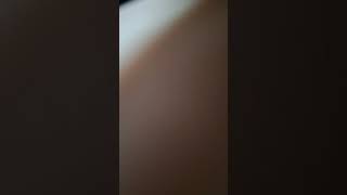 Calm Digestion Noises