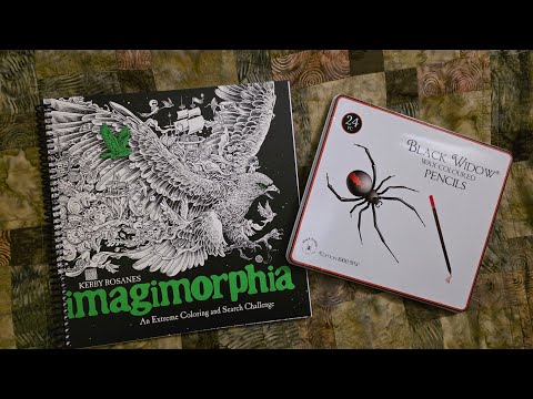 Part 7 - (Spiderweb) - Let's Color Together - Relaxing through Creativity! 