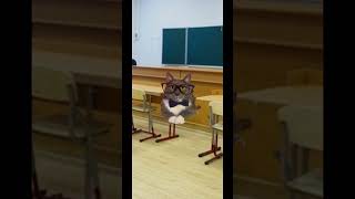 не очень учебная тревога#котинет #пожар