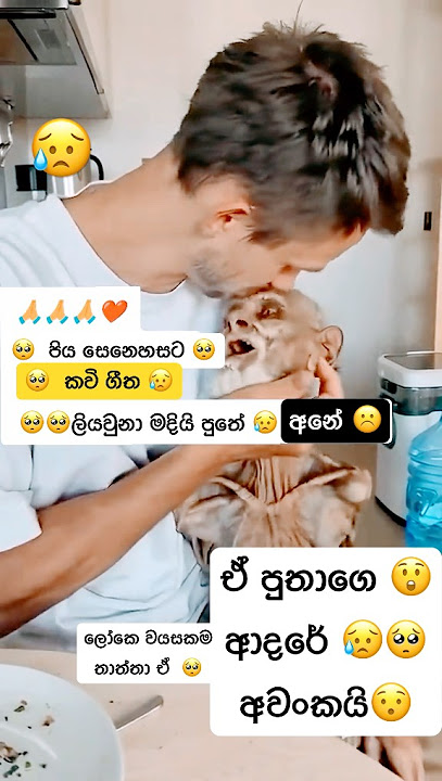 අනේ දීර්ගායුශ වෙන්න පතන්නානේ ඒ පියාගෙ කනට වෙච්ච දේ හයියෝ ඉක්මන් සුව වෙන්න ඕනි ආශිවාදය දෙන්න 🥺