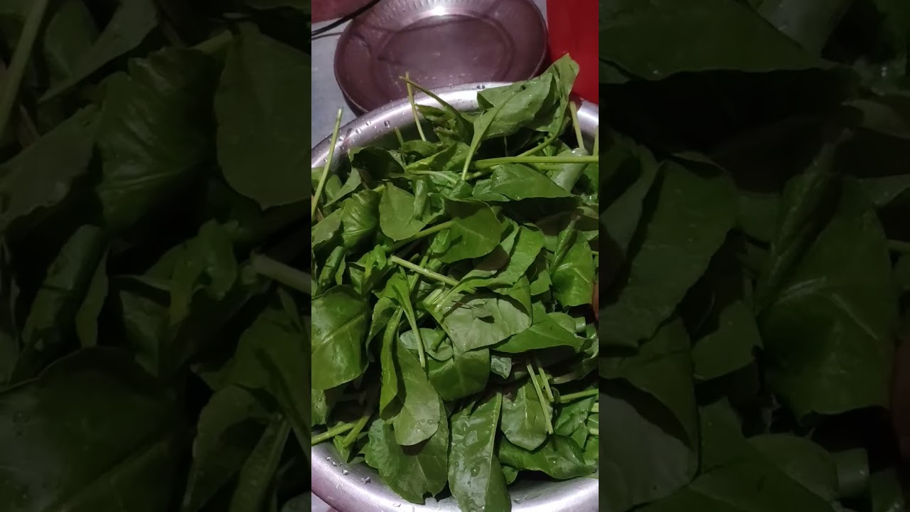 Palak aur bathua ka saag#video #singhmamta225 #cookingshorts #funny #song