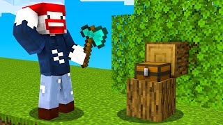 10 VERSTECKTE PRANK KISTEN in MINECRAFT!