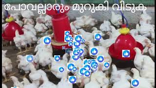 Browser Html5 Adobe Systems Incorporated