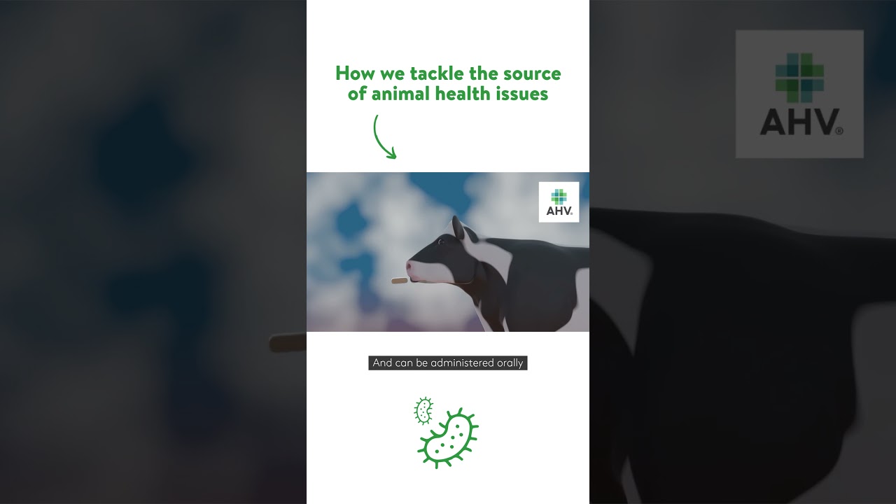 Biofilm Animation | AHV International