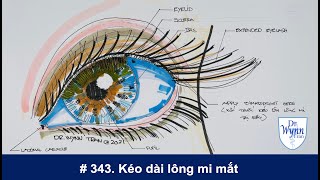 #343. Rụng lông mi mắt, ngắn lông mi mắt, và cách chữa trị bằng thuốc xức