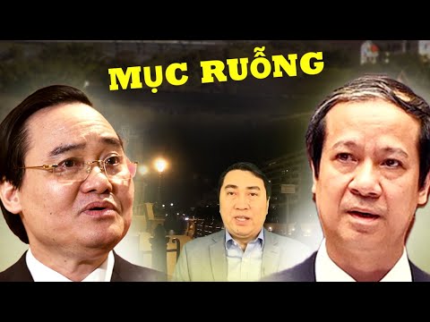 Video 20/11 và một vài suy ngẫm về nghề giáo - youtube