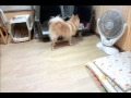 避妊手術後