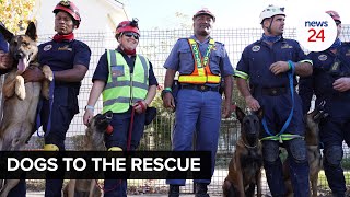 WATCH | K9's sharp nose led to Gabriel Guambe's rescue after 5 days buried alive