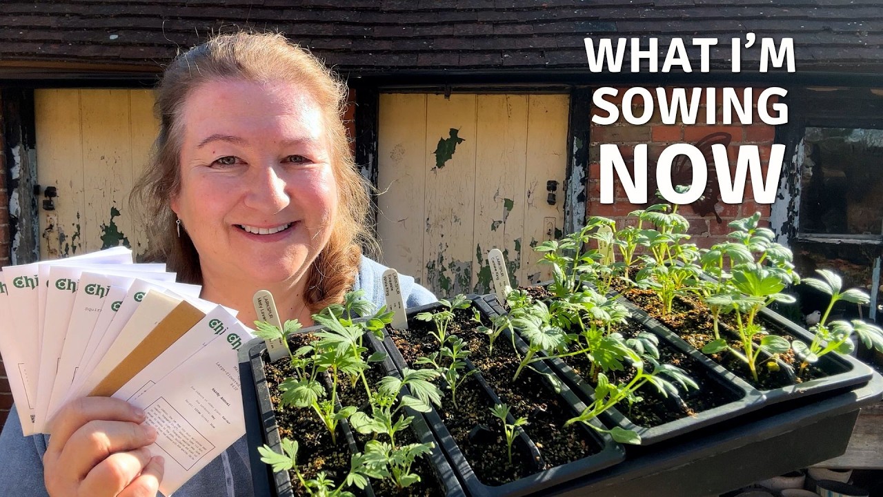 Что я сею сейчас 🌱 Цветы, которые я выращиваю из семян в этом году // Cottoverdi