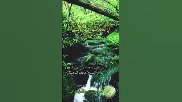 سورة البقرة من الآية (١١٣) الى الآية (١١٤) بصوت القارئ #محمد_اللحيدان #المؤمنين_والمؤمنات