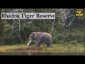 Drifting through Paradise | The Bhadra Tiger Reserve | 4K | A Cinematic Boat Ride | Manish Srinivas|