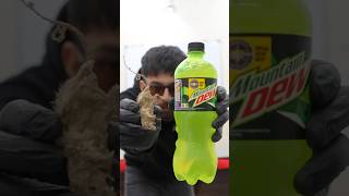 Mountain Dew Dissolves Mouse? (Part-2) #shorts
