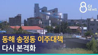 [G1뉴스] 동해 송정동 이주대책 다시 본격화