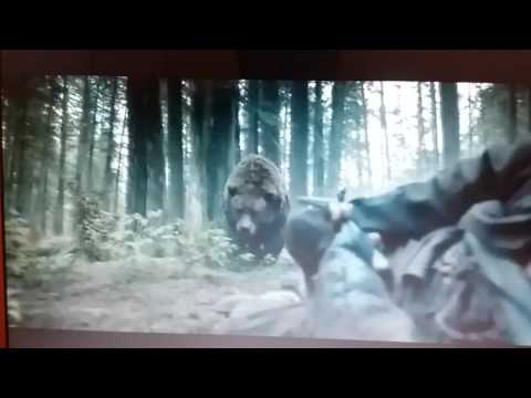 Wideo: DiCaprio mówił o gwałcie niedźwiedzia