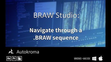 BRAW Studio : Navigate the .BRAW in your Sequence with Prev and Next
