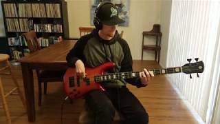 Red Hot Chili Peppers - Skinny Sweaty Man [BASS COVER]