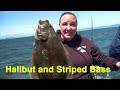 Halibut & Striped Bass Fishing in NorCal