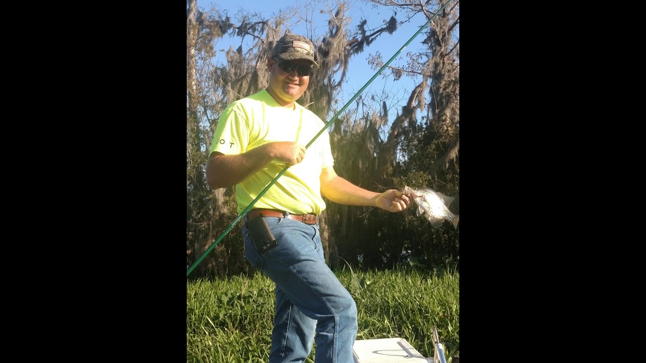 Catching Gators with cane poles and Catching more crappie!!! YouTube