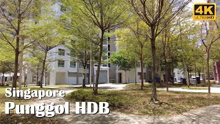Singapore HDB Neighborhood - Damai Grove & Punggol Vista Walking Tour