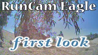 RunCam Eagle First Look