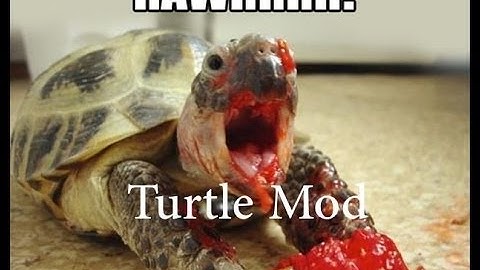 Minecraft Mod Showcase - Turtles!!!!!!!