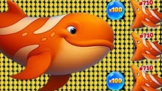Fishdom 🐠Video [75.0] Hungry Fishs Gameplay | Ads Mini Games New Update 2025  screenshot 3