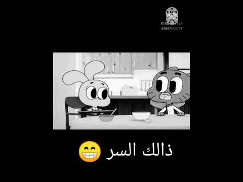 حالات واتس اب غامبول وداروين حزين