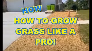 How to Grow Grass Like a Pro [Parts 1  4  Combined]