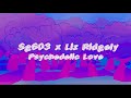 Sg603 - Psychedelic Love (feat. Liz Ridgely)