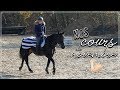 NOS COURS DE NOVEMBRE : préparation du salon du cheval 💪