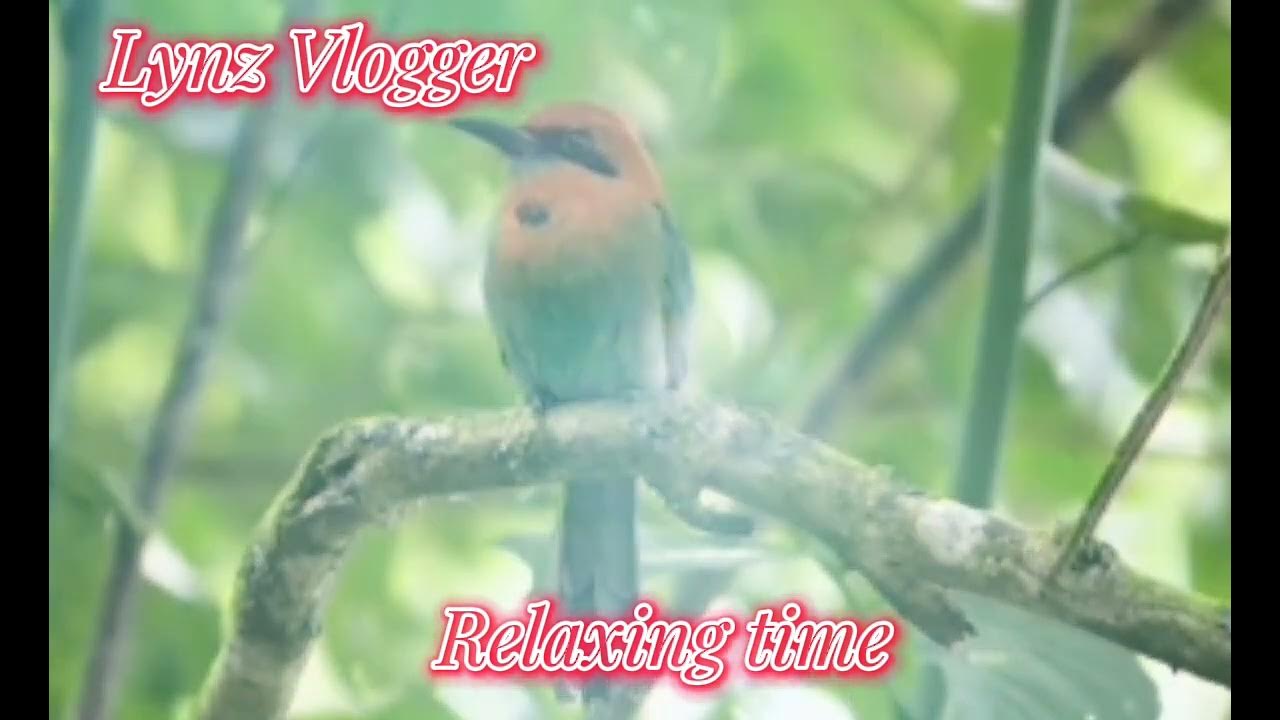 Relaxing time ️ Lynz Vlogger YouTube