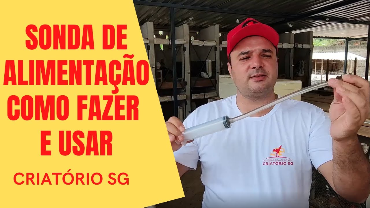 SONDA DE ALIMENTAÇÃO PARA GALINHAS, COMO FAZER E USAR