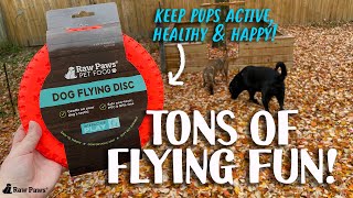 Flexible & Soft Rubber Frisbee for Dogs | Interactive Fetch Toy for Active Dogs screenshot 5